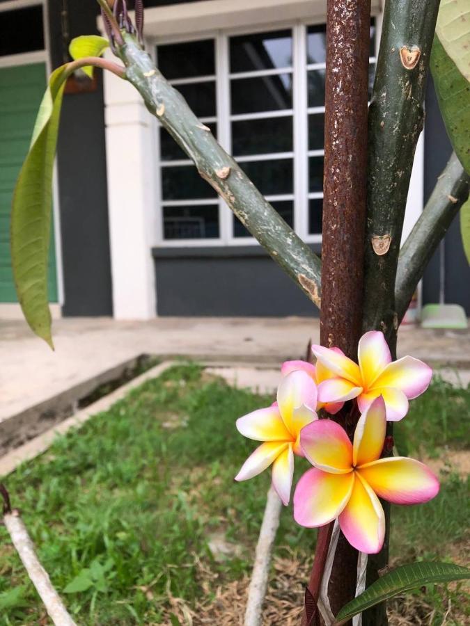 Lungo Guesthouse Kuala Terengganu Dış mekan fotoğraf